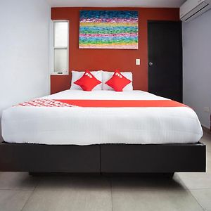 Habitación Estándar con Cama Queen